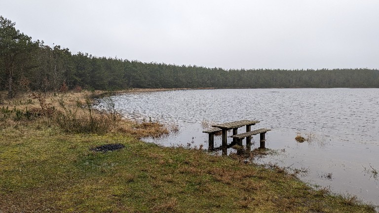 Frauchen war baden. 👍💪