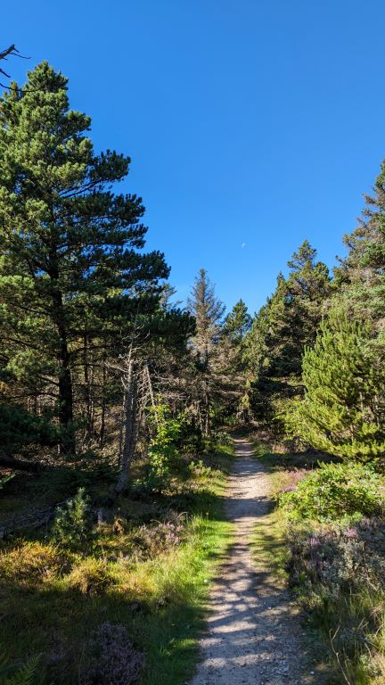 Heute ist es nicht stürmisch...